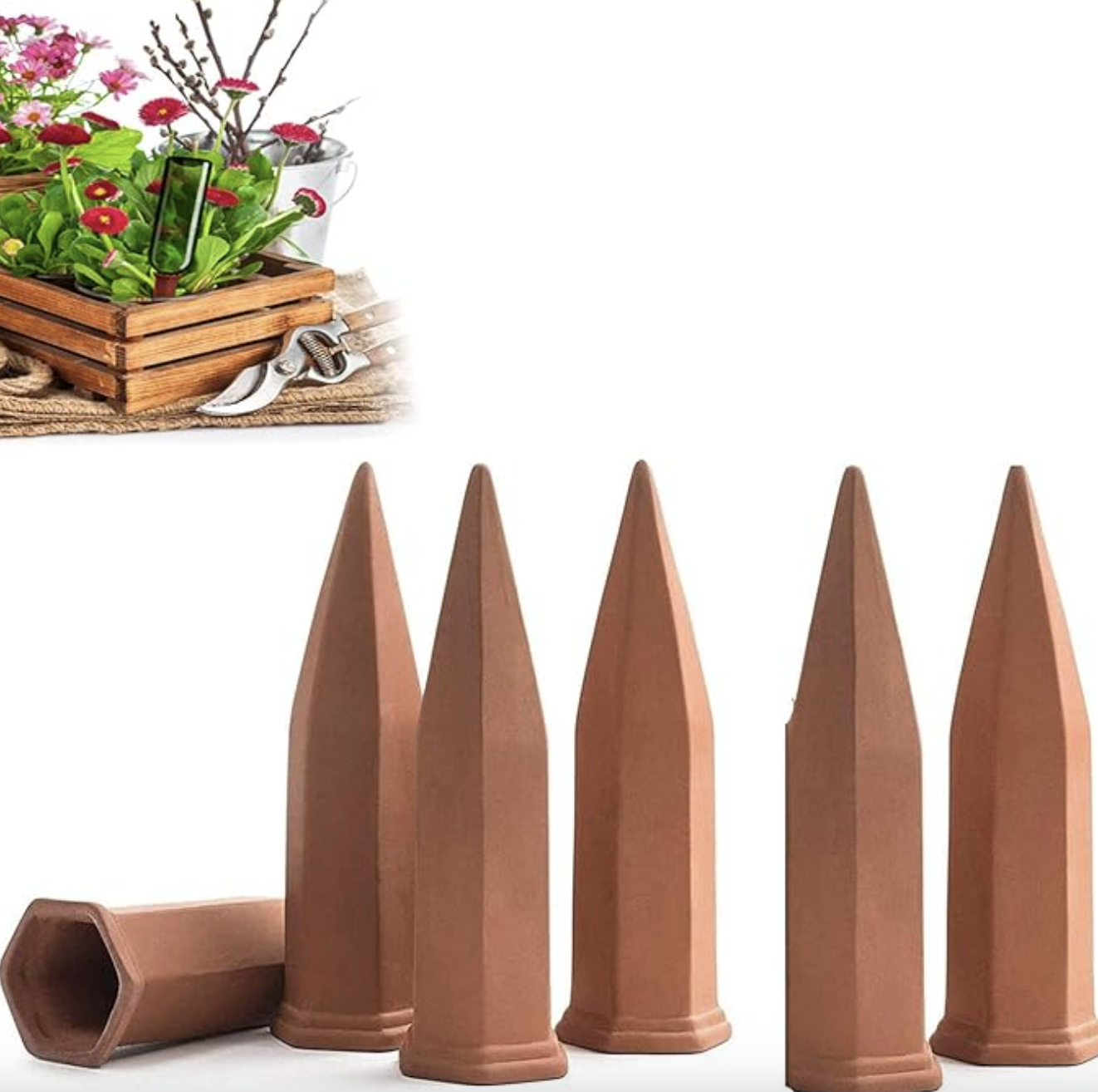 Terracotta Watering Stakes